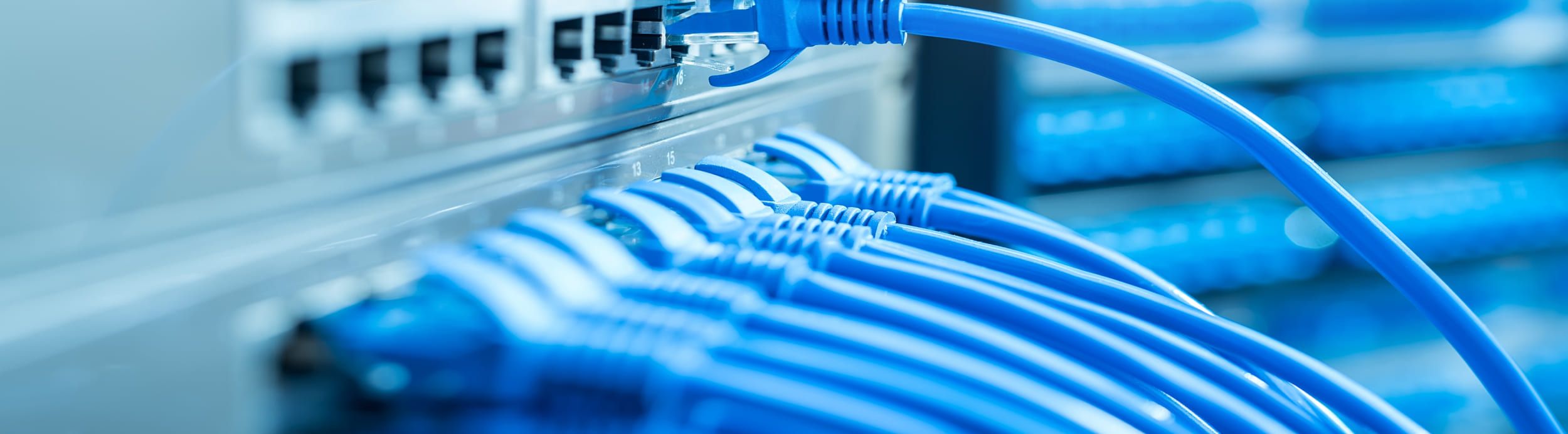 Blaue Kabel | Netzwerktechnik